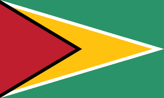 Guyana flag